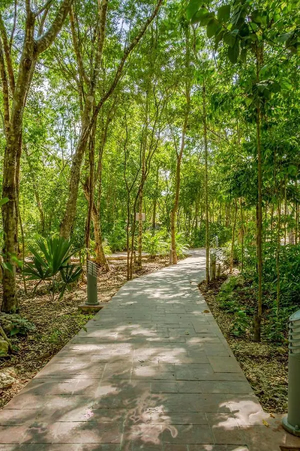 Ferienwohnung Hostpal Mayakoba - Playa Del Carmen Apartment
